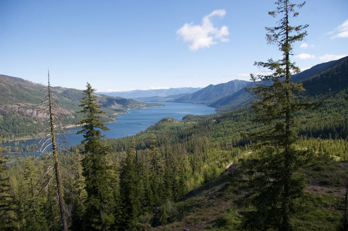 A long blue lake between forested mountains, seen from a slope of pines