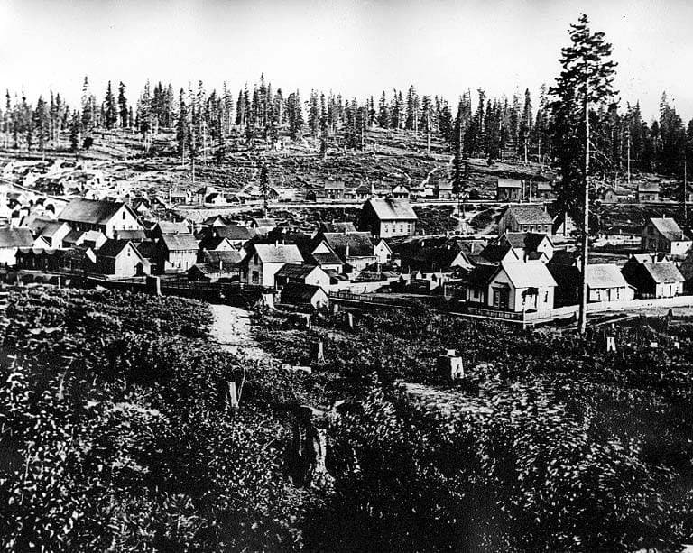 A black and white view of rows of wooden houses in a cleared valley, with tree stumps and forest behind