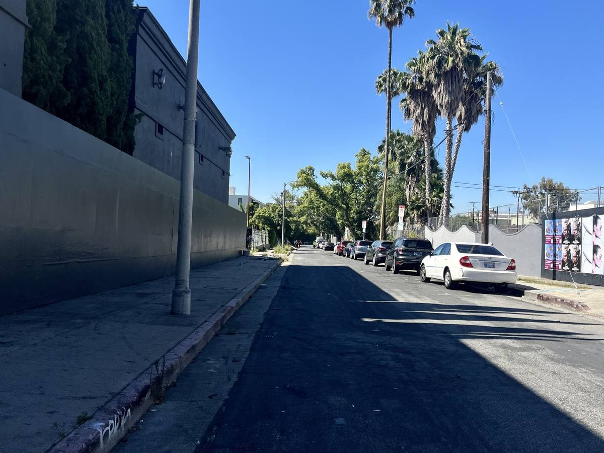 A quiet sunlit street with parked cars and tall palm trees against a blue sky