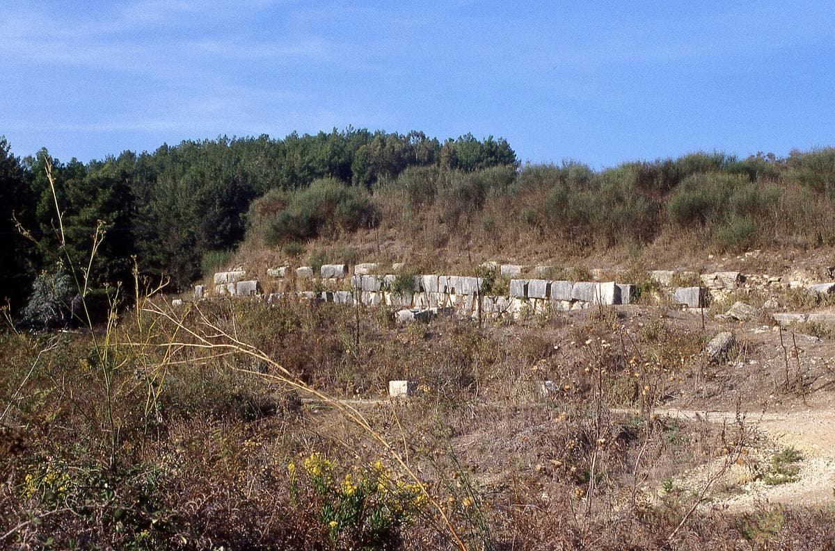 A long terrace wall of large stone blocks in scrubland