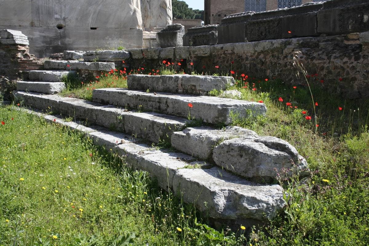Curved stone steps half buried in grass