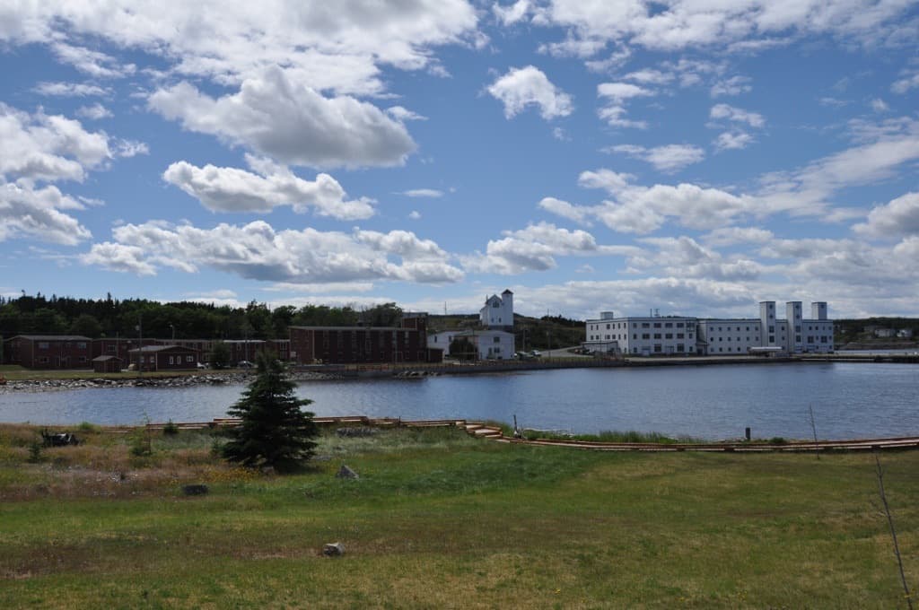 White industrial buildings across a harbour, with a grassy shore in front