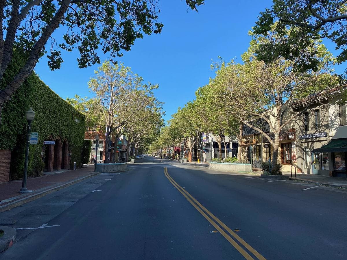 An empty downtown street of low shopfronts and trees