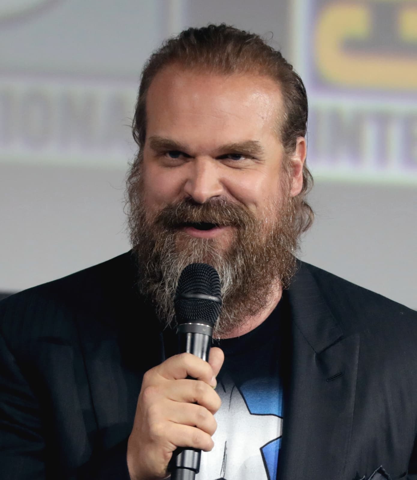 David Harbour, bearded, speaking into a microphone