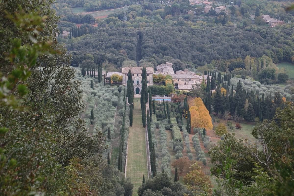 A long cypress-lined avenue running down through olive groves to the villa