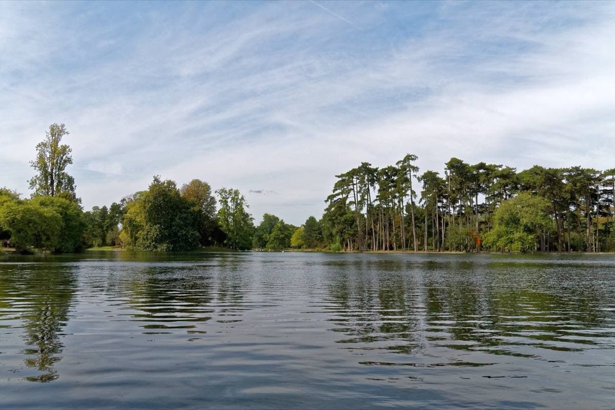 A still lake ringed by woods under a pale sky