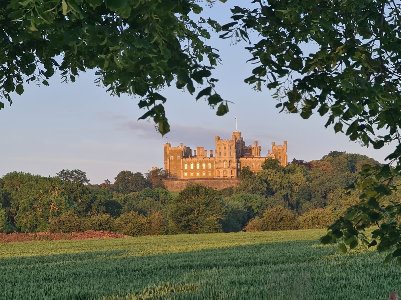 Belvoir Castle’s towers lit gold by early sun on a wooded hill, framed by leaves, with a green field below