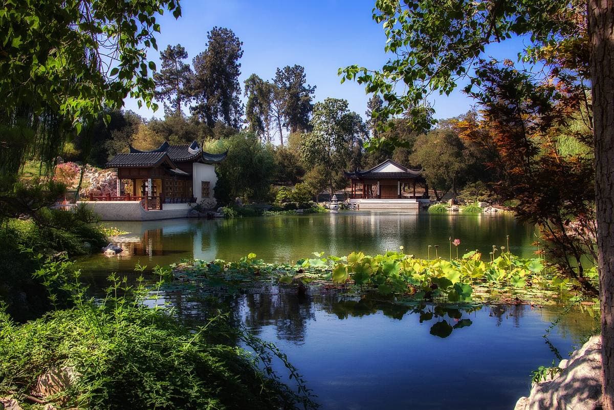 A pavilion with upturned eaves reflected in a still lake among willows