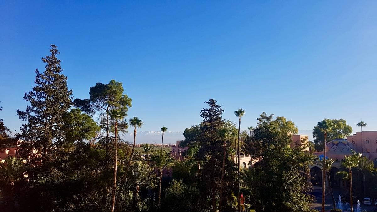 A pale hotel building among palms, mountains behind