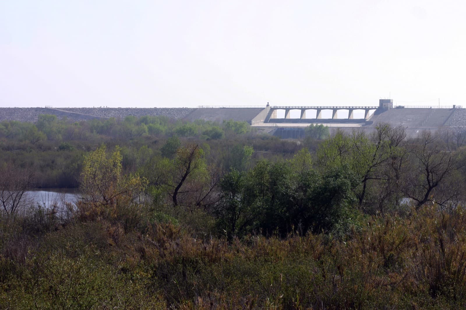Scrub and water in a wide basin with the long white dam on the horizon