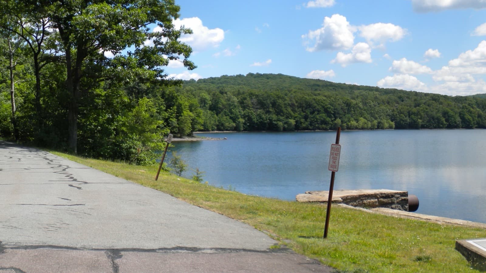 A calm lake under wooded hills, a paved path along the grassy bank