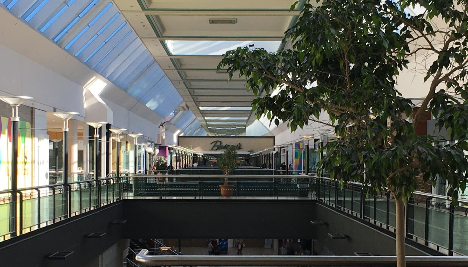 A long skylit mall gallery with glass balustrades and a potted tree
