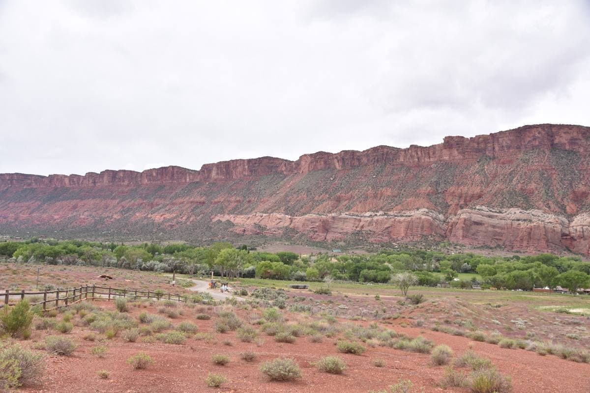 Red desert valley with a lone juniper