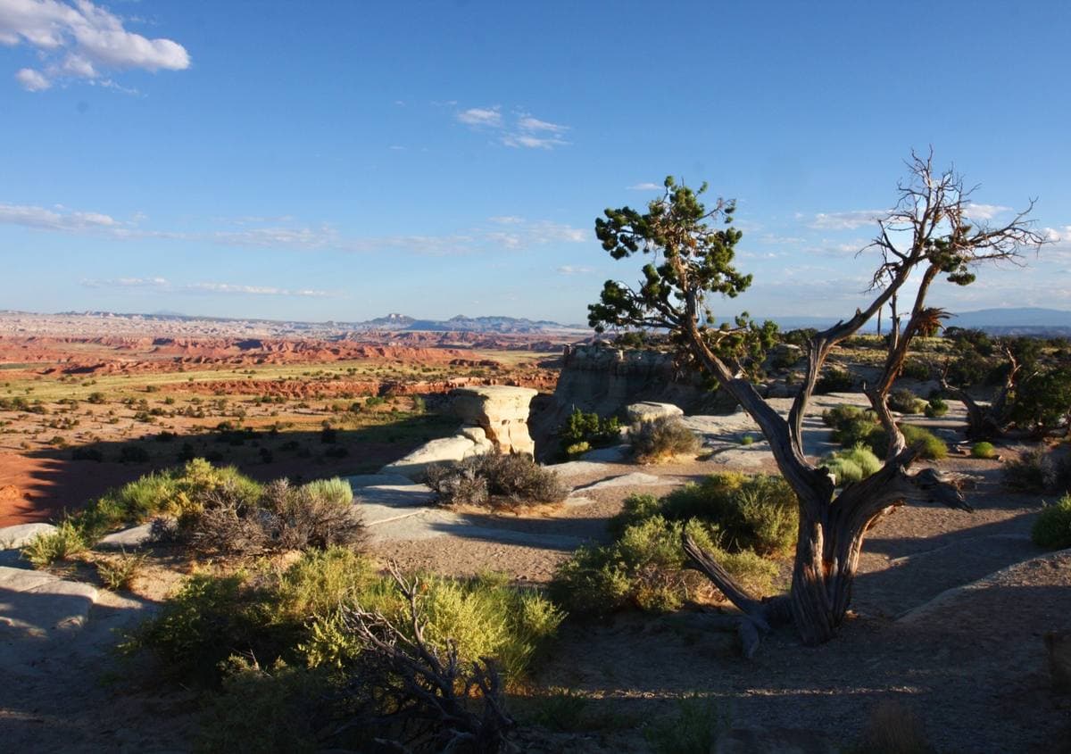 Green valley floor under long red cliffs