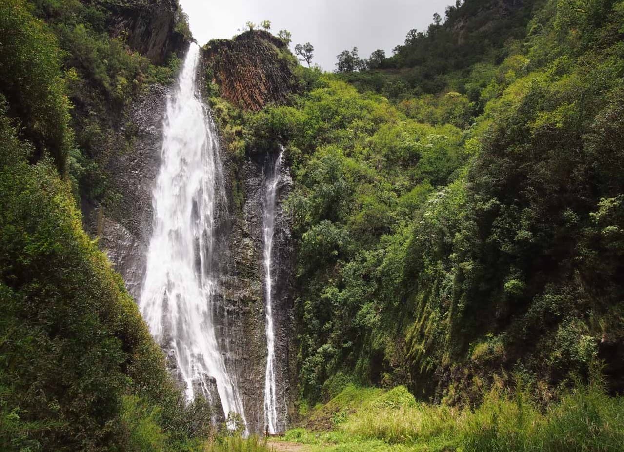 Manawaiopuna Falls dropping through green rainforest in Hanapēpē Valley