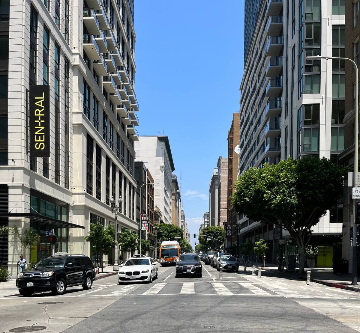 A sunny downtown street lined with tall buildings and trees, cars at a crossing