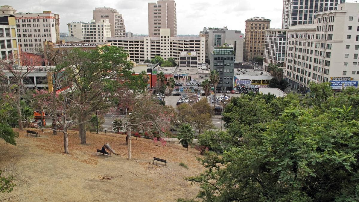 A dry, tree-dotted slope in the foreground with older downtown buildings and towers beyond