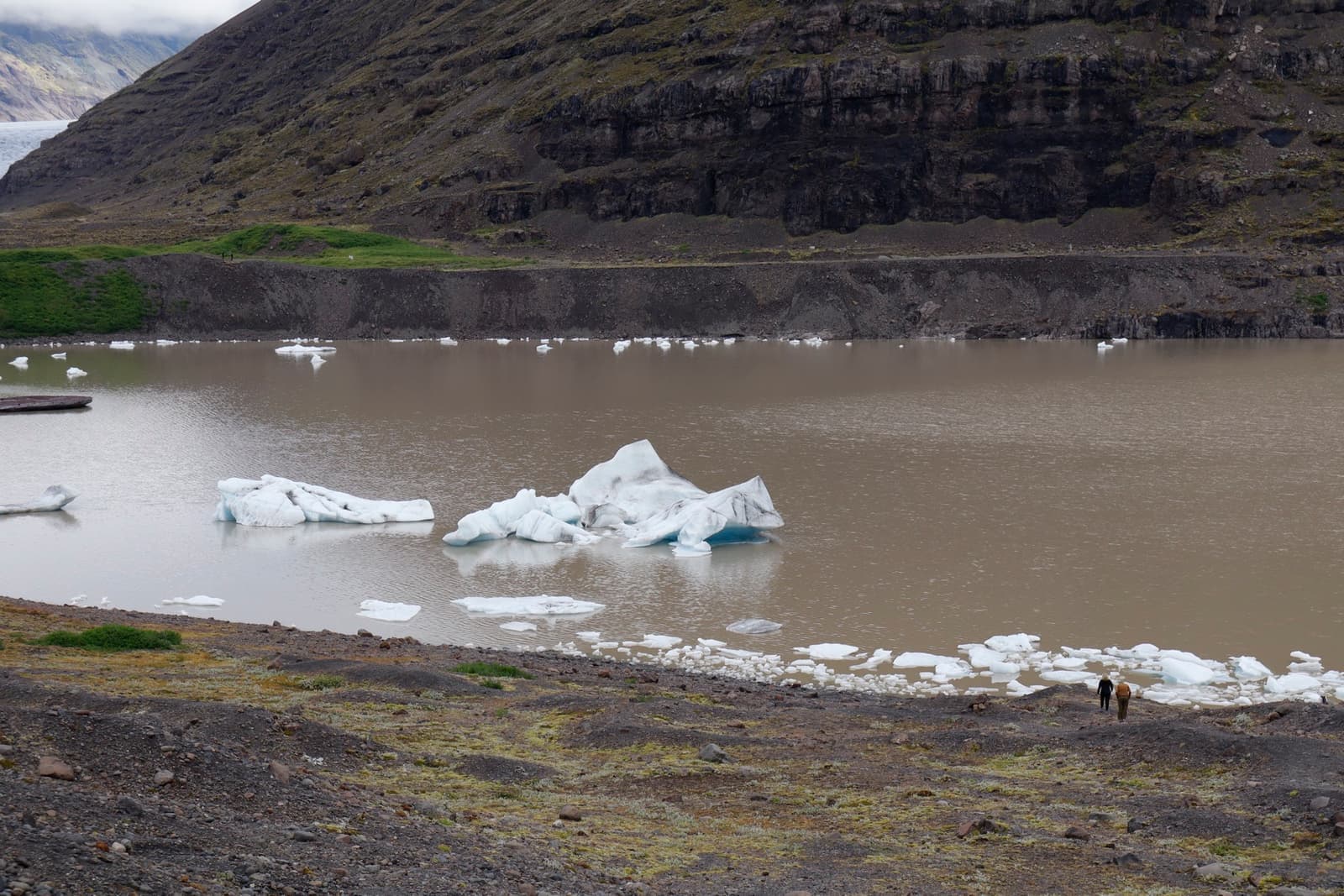 White icebergs float in a brown glacial lake below a steep dark hillside