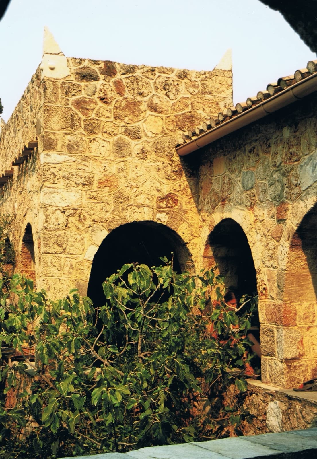 Golden stone walls and round arches of a house, with a fig tree in front and terracotta roof tiles