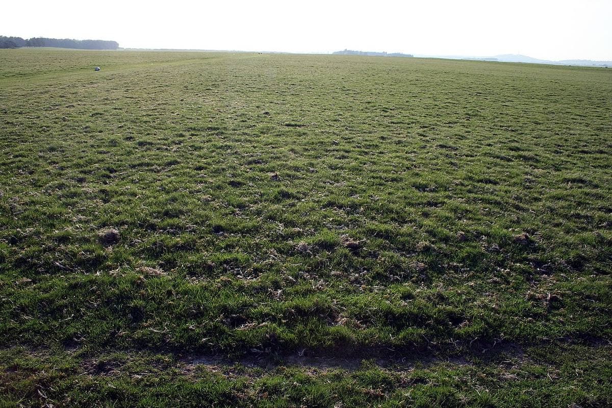A flat grassy plain under a pale sky, stretching to the horizon
