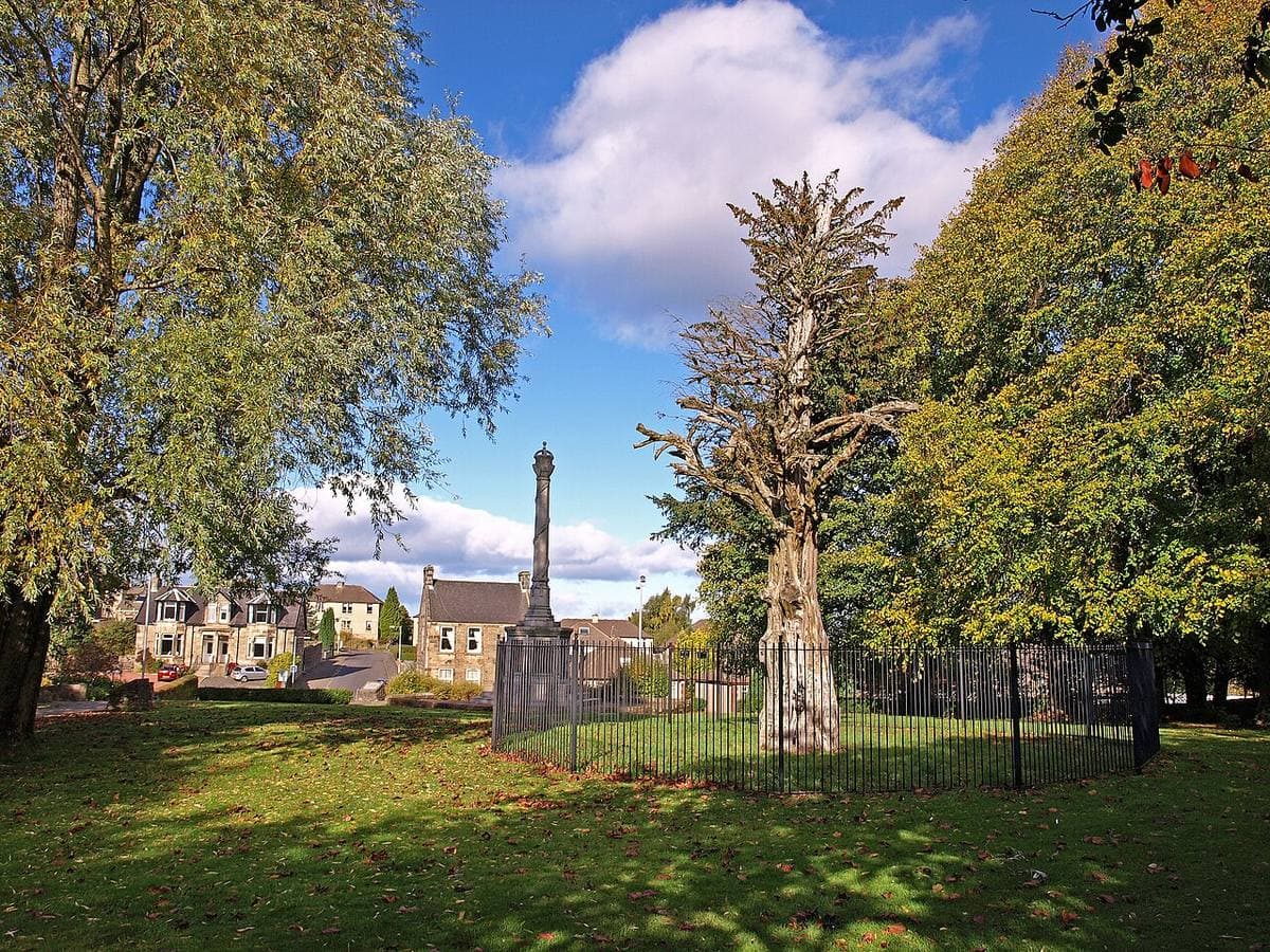 A tall granite memorial on a lawn beside a fenced, broken old tree
