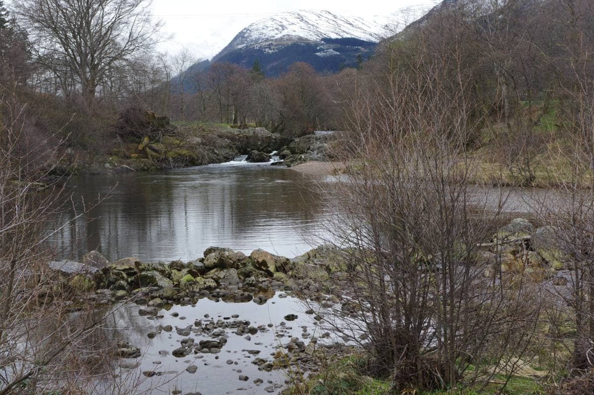 A river pool among rocks and bare trees, a snow-capped mountain behind