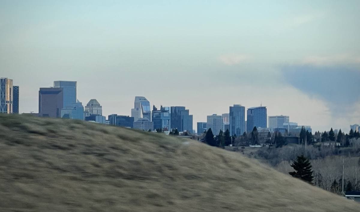 Calgary’s downtown towers above the river and trees