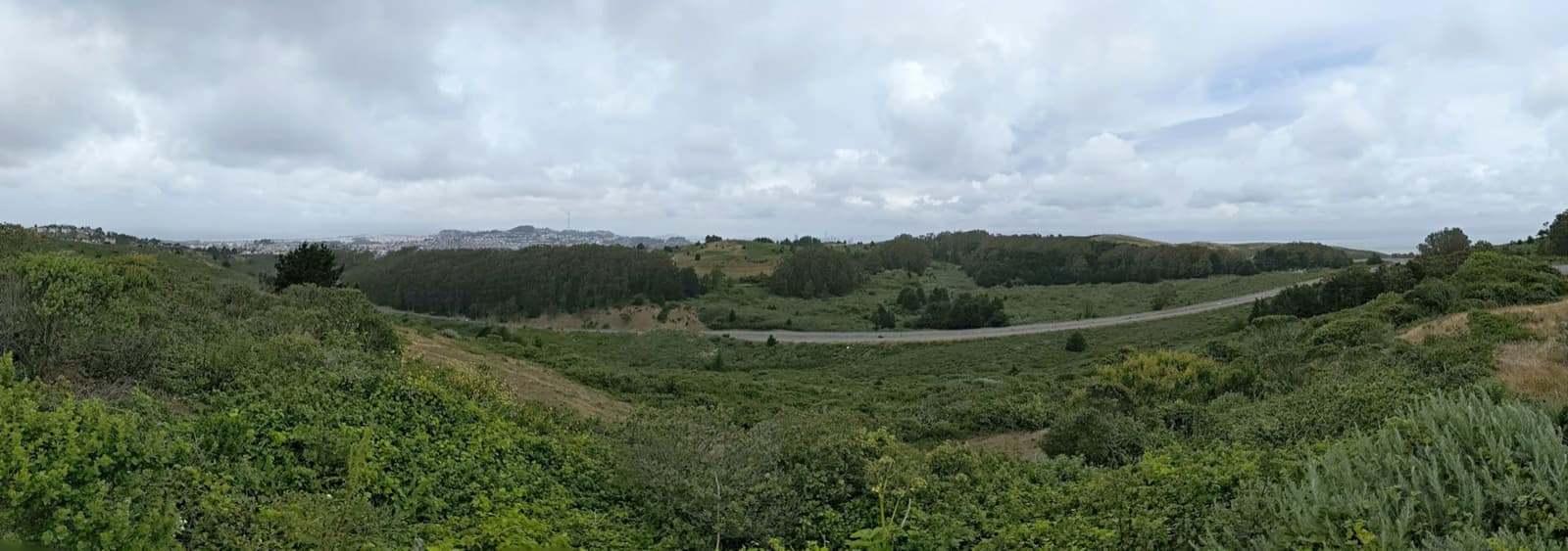 A road curving across a green hillside with a city skyline in the distance