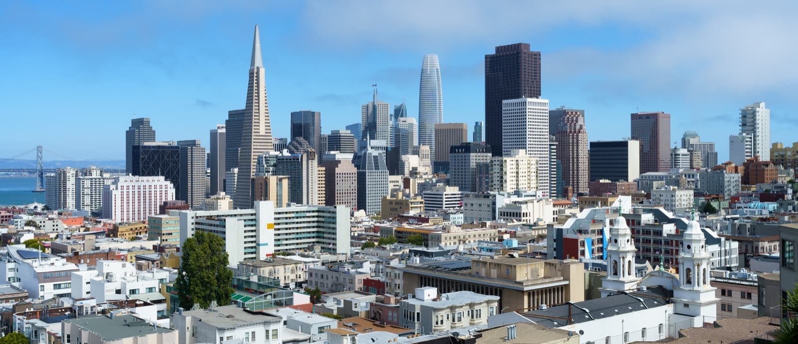 Towers of downtown San Francisco seen over rooftops and trees from a hillside park