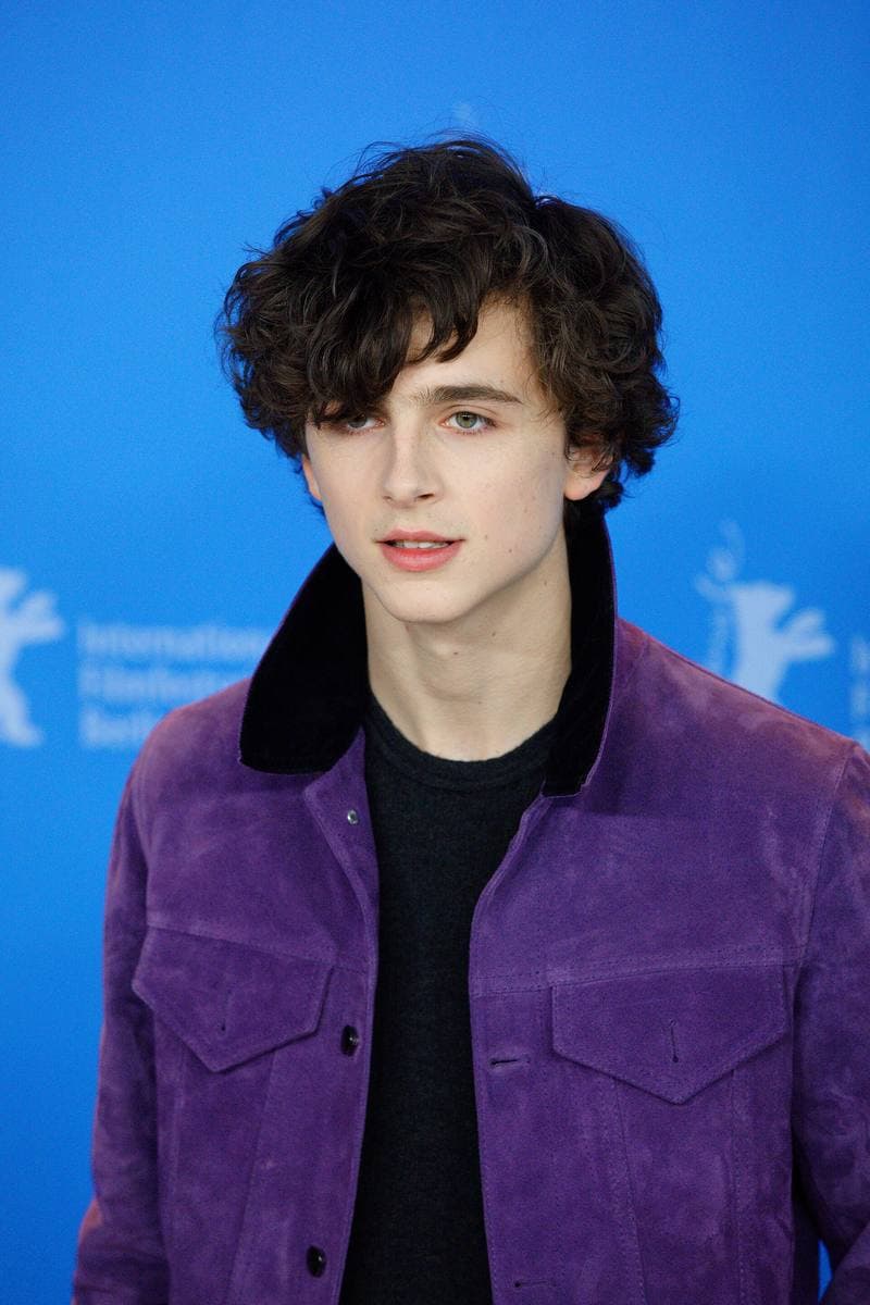 Timothée Chalamet, curly-haired, in a purple suede jacket against a blue backdrop