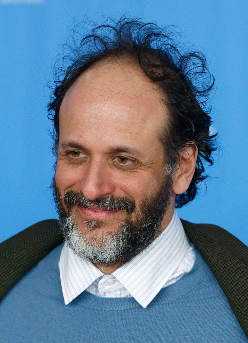 Luca Guadagnino smiling, grey-bearded, in a blue jumper over a striped shirt