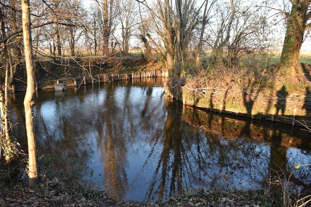 A still spring pool reflecting bare trees and low winter sun