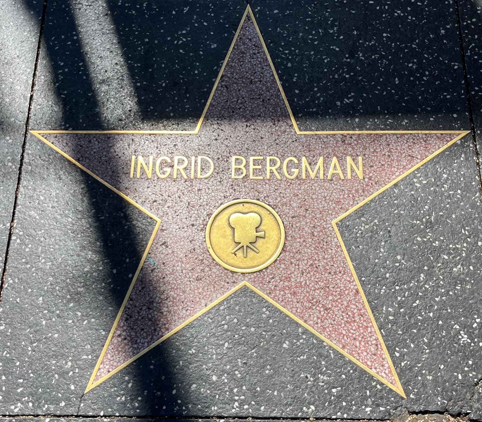 Ingrid Bergman’s star in the Hollywood Boulevard pavement