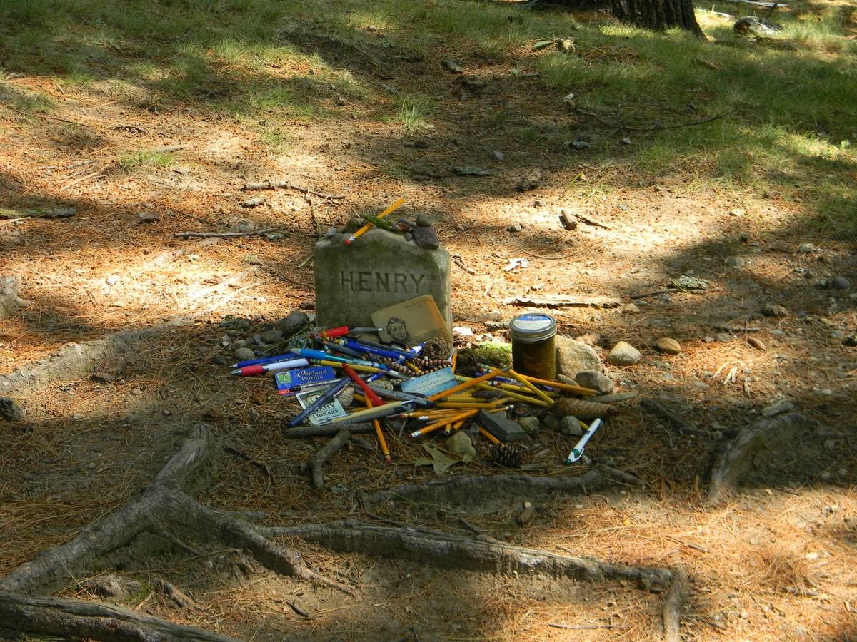 A small stone marked HENRY among tree roots, surrounded by pens and pencils