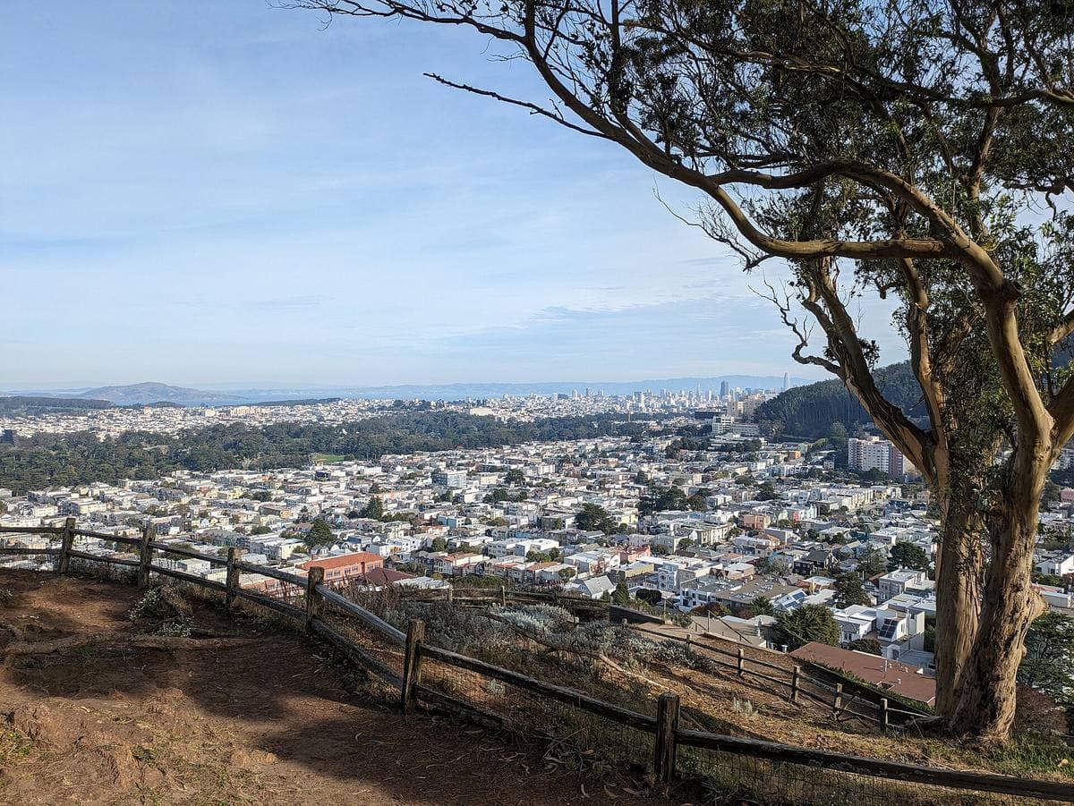 A sweep of pastel houses below a hilltop fence and a cypress tree