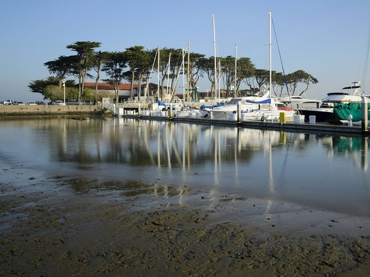 Moored yachts on still water, palm and cypress trees beyond