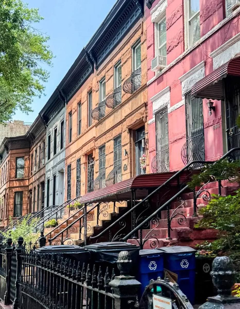 A sunlit row of brownstone houses with stoops and iron railings in Bedford-Stuyvesant