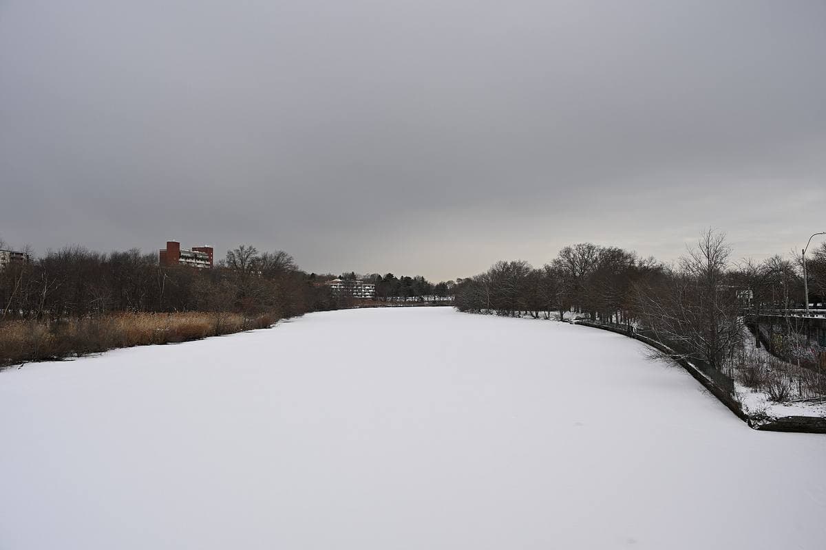 A wide frozen river covered in white snow between bare trees under a grey sky