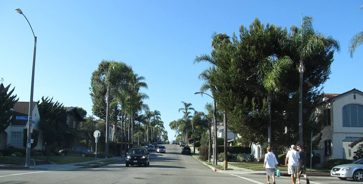 A sunny California residential street with palm trees and low houses