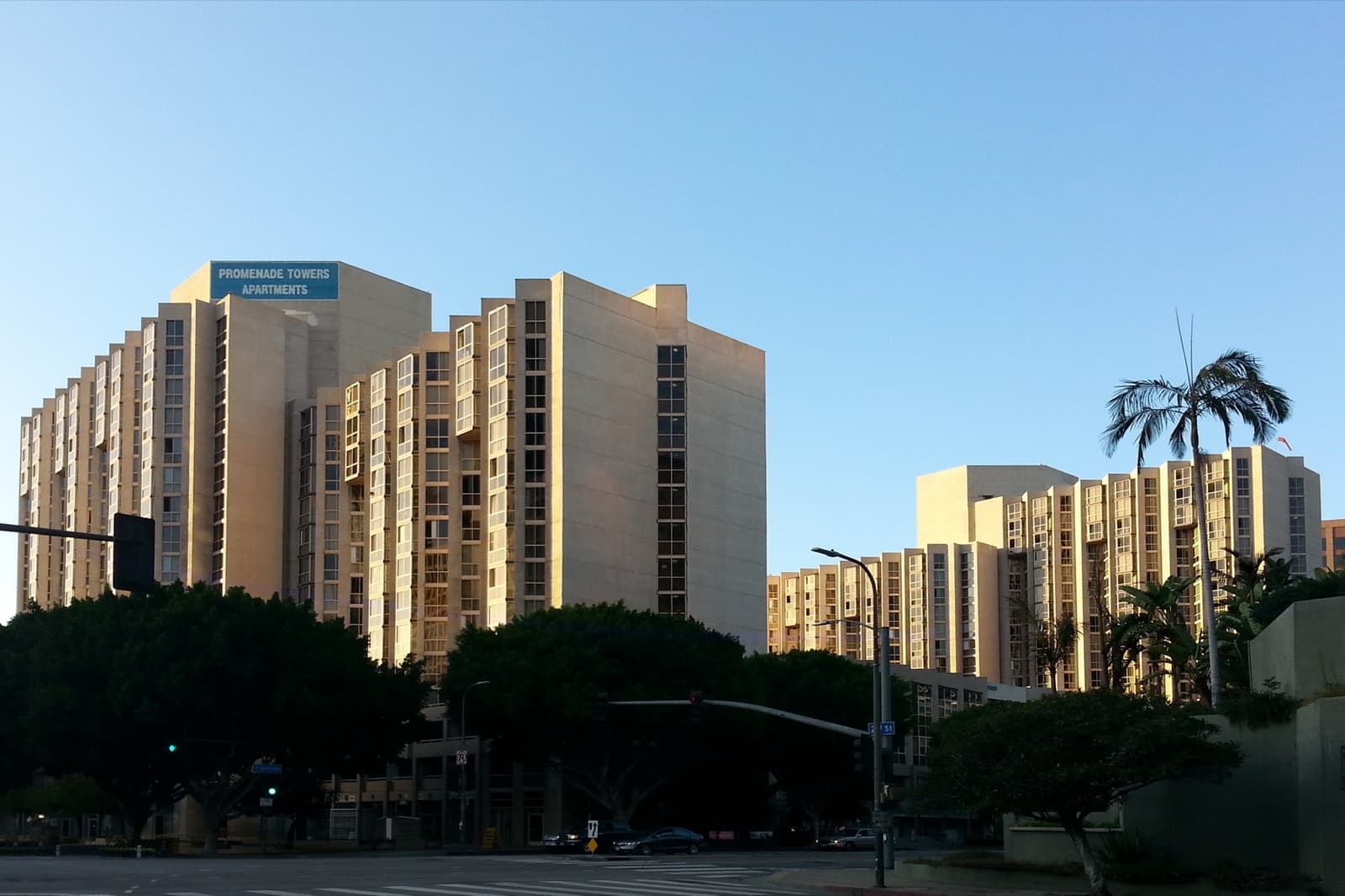 Two pale apartment towers on Bunker Hill under a clear sky, palms in front
