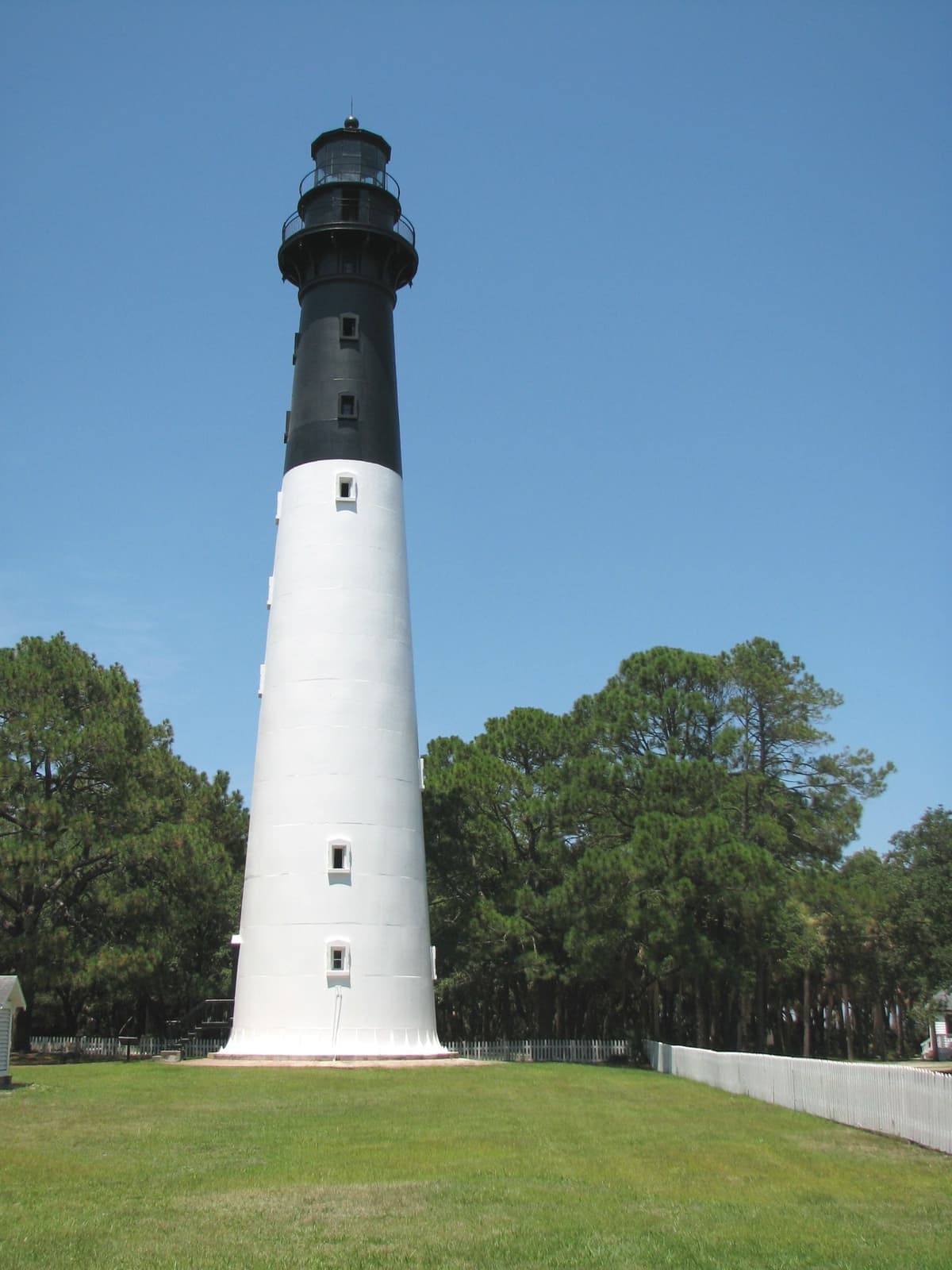A tall black-and-white lighthouse rising above pines on a lawn