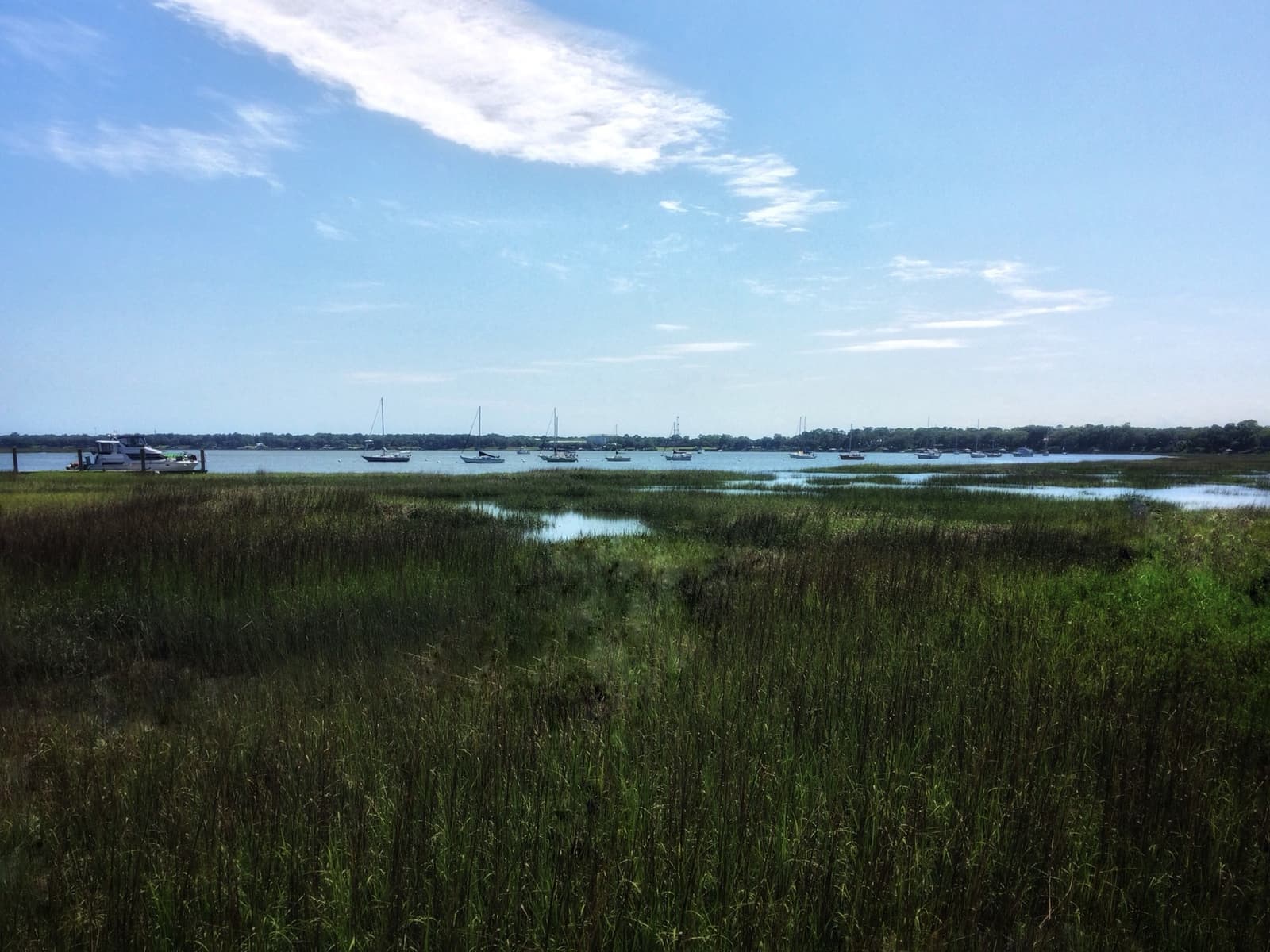 Green salt marsh in front of open water with moored sailboats under a blue sky