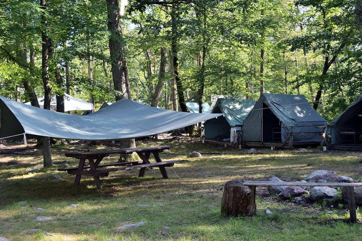 Tents and a clearing among tall trees at a summer camp