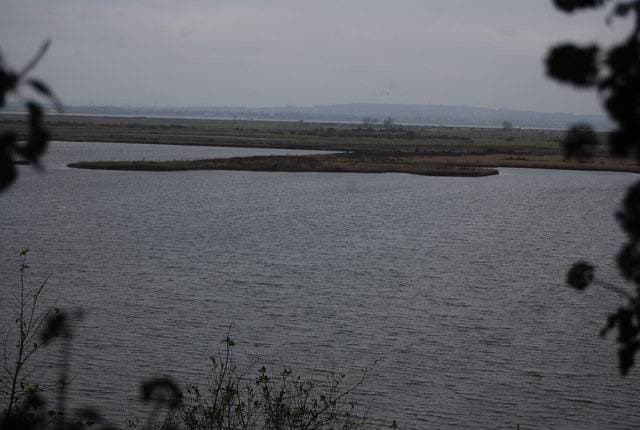 Flat grey water and low marsh under a pale sky, branches framing the view