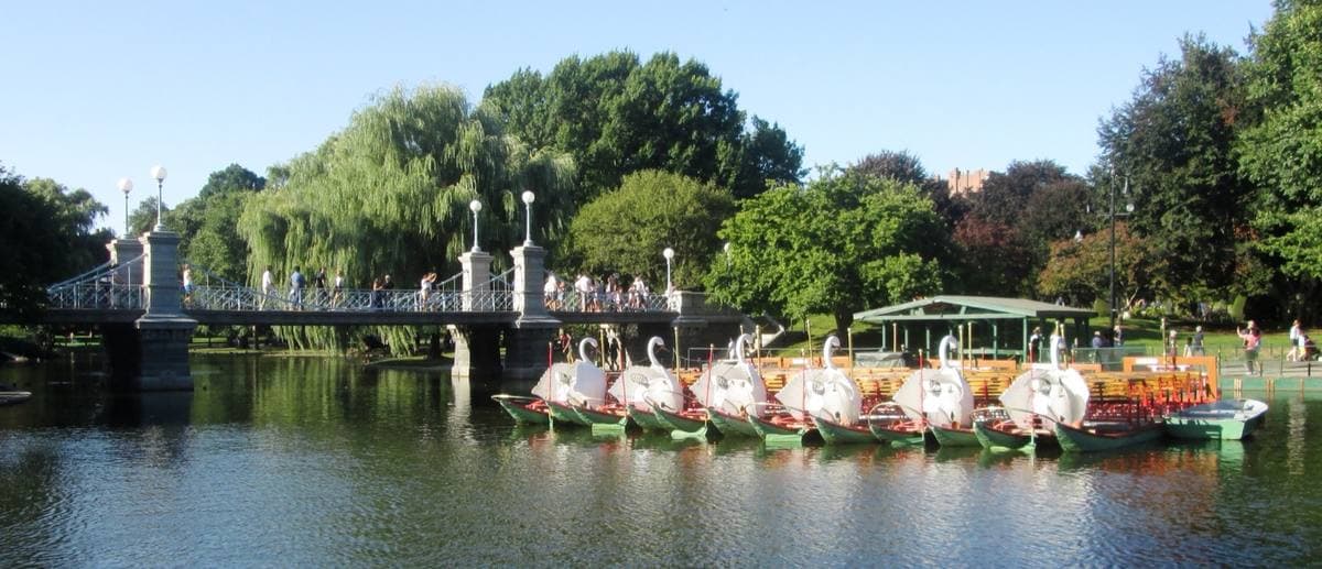 Swan Boats moored under the Lagoon Bridge in summer