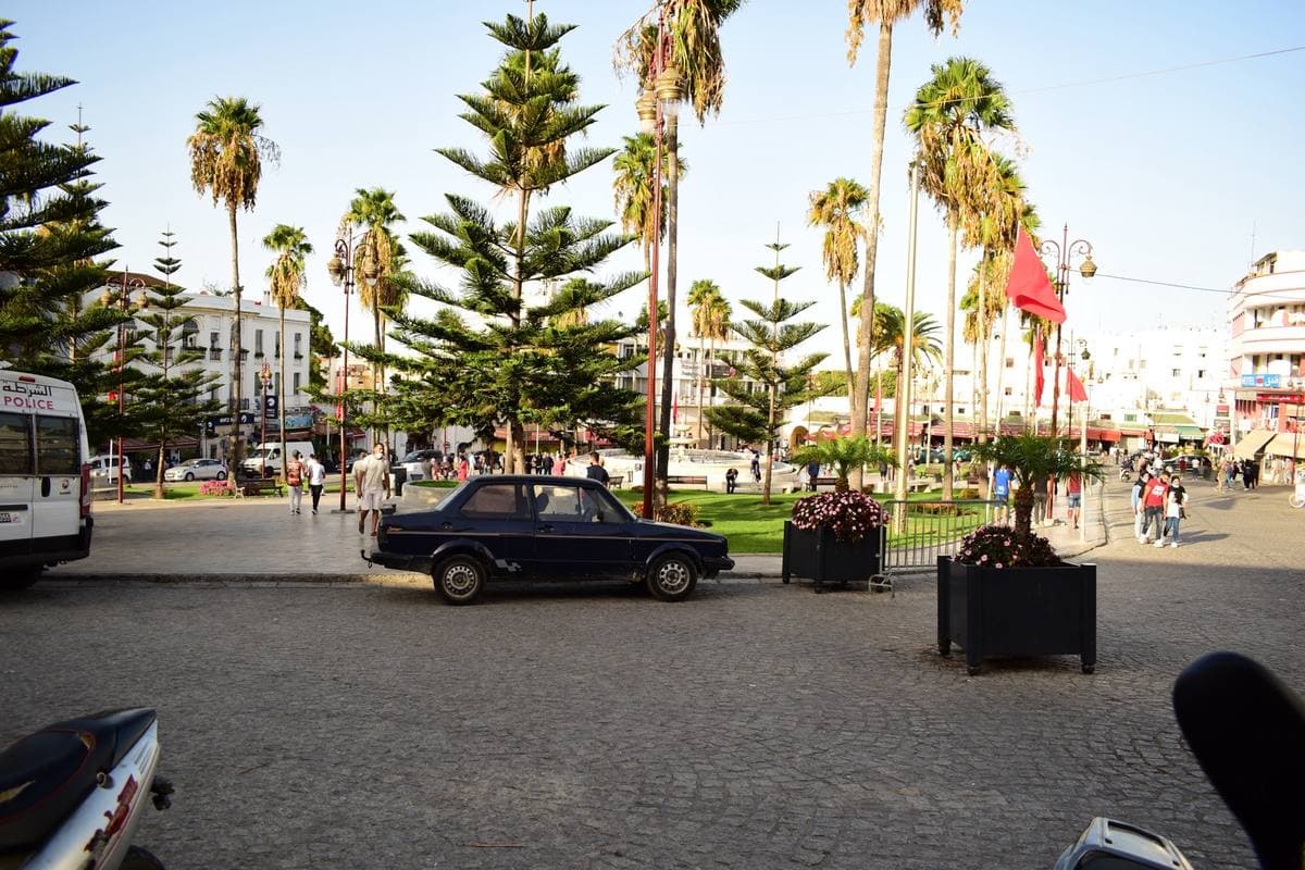 A wide square of palm trees and pines with traffic in front, at the edge of the old town