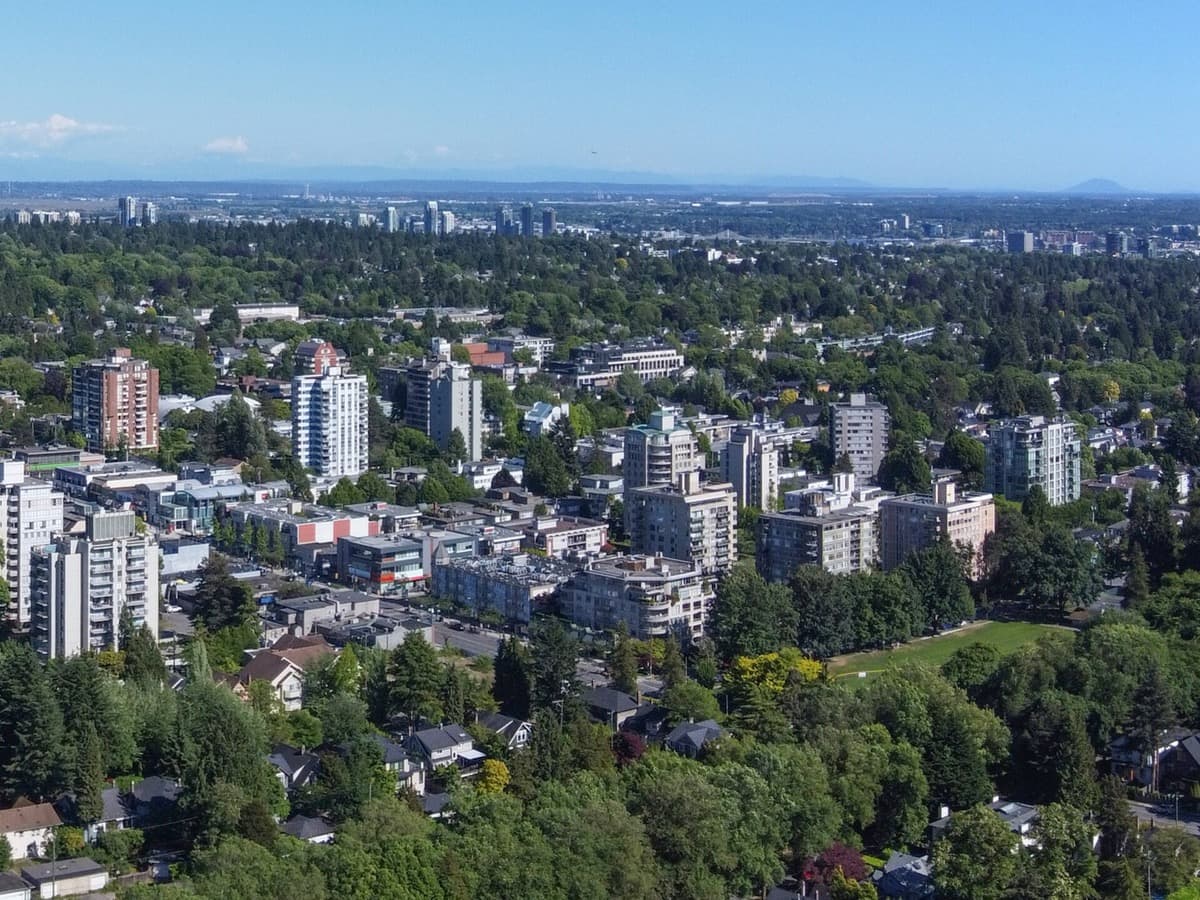 An aerial view of a leafy residential district