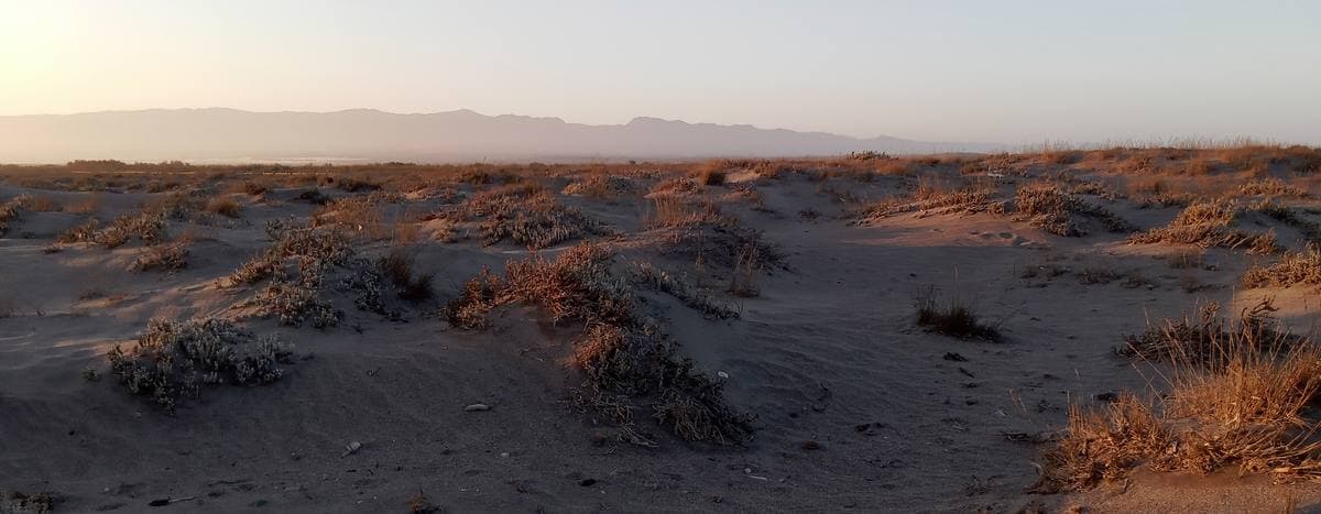 Low sand dunes with tufts of grass at sunset, hills on the horizon
