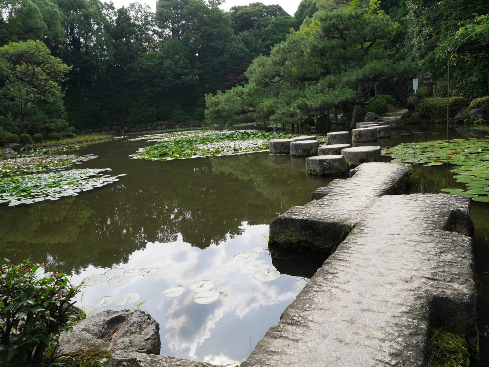 Round stone pillars crossing a pond with lotus leaves