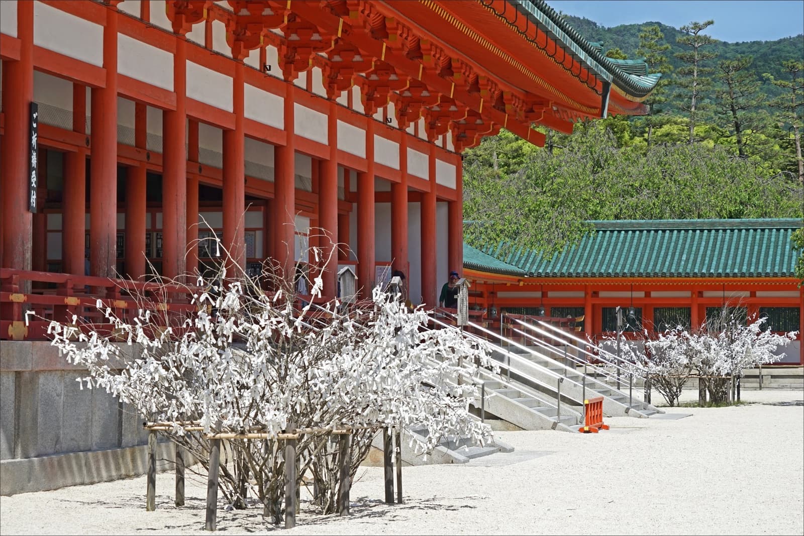 Racks white with knotted paper fortunes in front of a vermilion shrine hall
